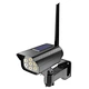 Solar Light